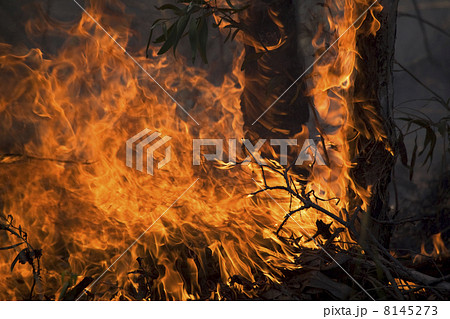 disaster with fire disaster with fire 8145273
