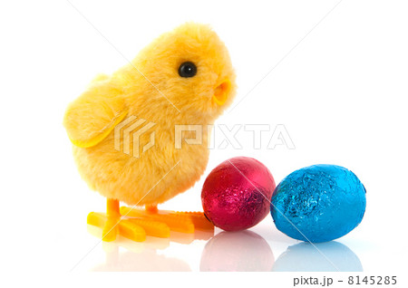 Easter chick with chocolate eggs 8145285