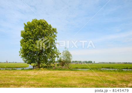 Summer landscape 8145479