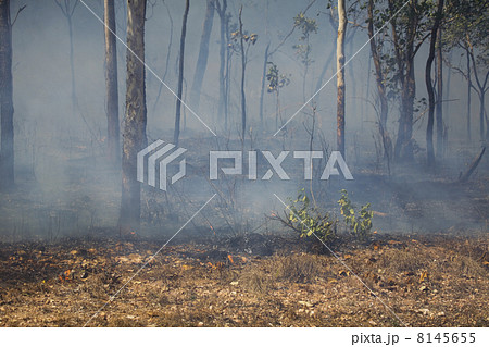 smoke after the fire 8145655