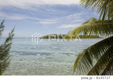 Tropical island Tropical island 8145717