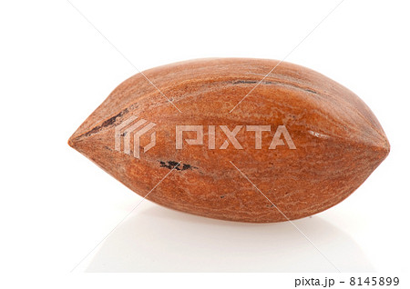 pecan nut 8145899