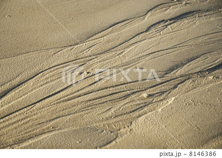 low tide 8146386