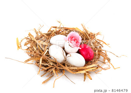 easter nest 8146479