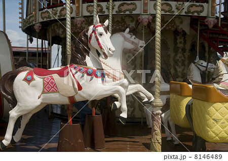 horses 8146489