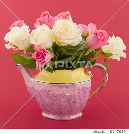 Pink and white Pink and white 8147030