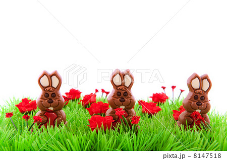 Green grass with chocolate easter hares Green grass with chocolate easter hares 8147518