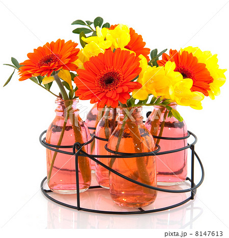 Rack with flowers in bottles 8147613