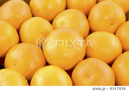 Mandarins 8147836