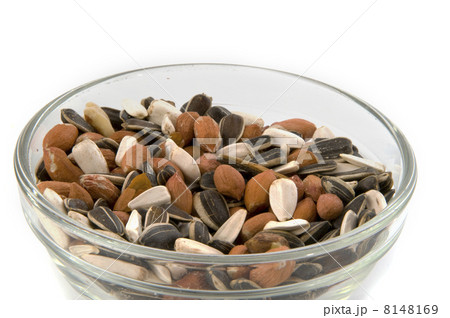 bird-seed 8148169