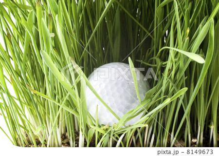 Golfball 8149673