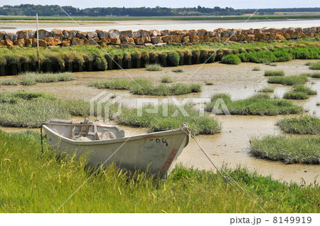 Ebb tide Ebb tide 8149919