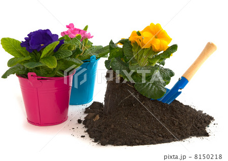 Gardening 8150218