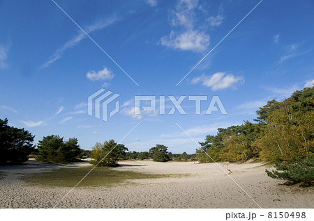 Soesterduinen 8150498