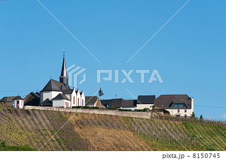Little village with vineyard 8150745