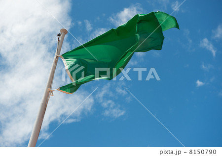 Green flag 8150790