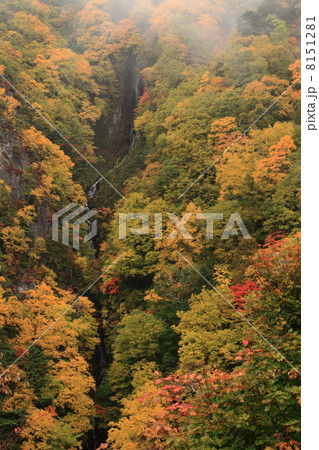 雨に煙る紅葉の松川渓谷・八滝 雨に煙る紅葉の松川渓谷・八滝 8151281