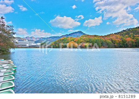 借景比叡山 8151289