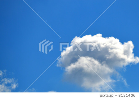 プードルな雲 8151406