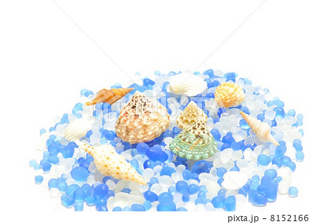 ガラスと貝殻 ガラスと貝殻 8152166