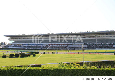 中山競馬場 中山競馬場 8152180