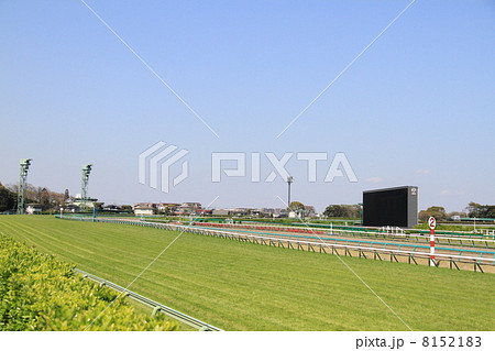 中山競馬場 8152183