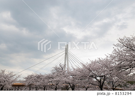 南天満公園からみる川崎橋 8153294