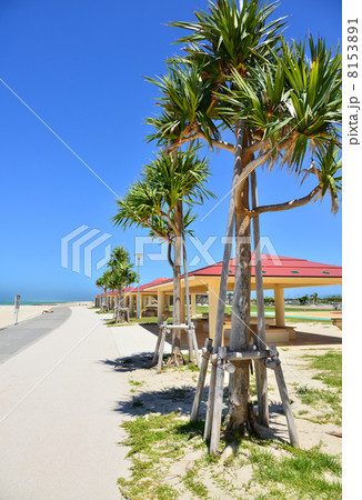 豊崎美らSUNビーチ 豊崎美らSUNビーチ 8153891