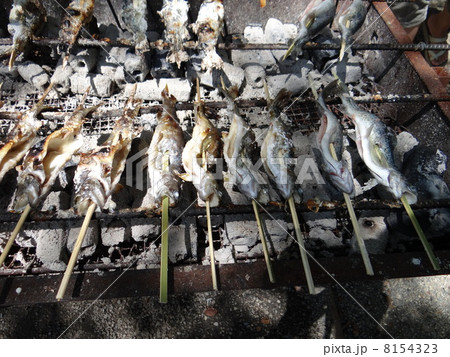 ニジマスの塩焼き ニジマスの塩焼き 8154323