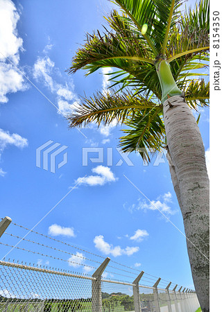 嘉手納基地 8154350