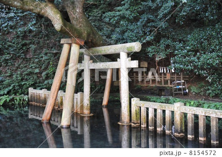 鹿島神宮 御手洗池 鹿島神宮 御手洗池 8154572