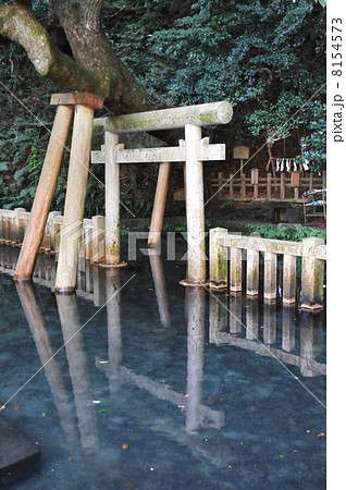 鹿島神宮　御手洗池 8154573