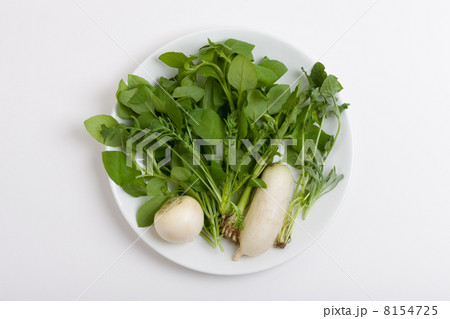 春の七草 8154725