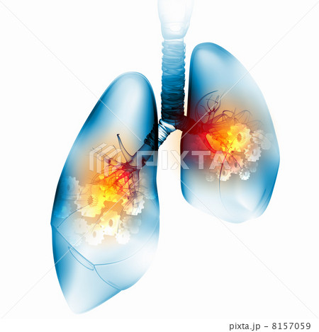 Human lungs Human lungs 8157059