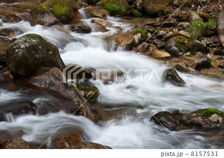 本谷川の流れ 8157531