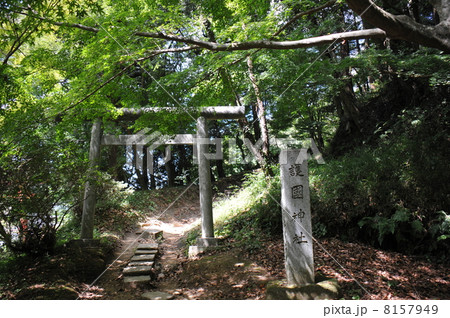 香取神宮 護国神社鳥居 香取神宮 護国神社鳥居 8157949