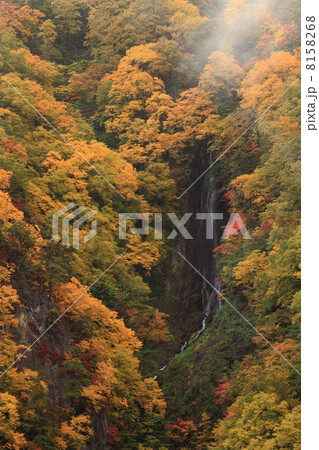 雨に煙る紅葉の松川渓谷・八滝 雨に煙る紅葉の松川渓谷・八滝 8158268