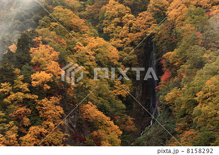 紅葉の松川渓谷・八滝 紅葉の松川渓谷・八滝 8158292