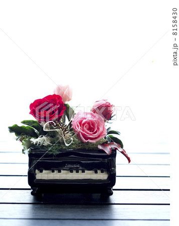 ブリザードフラワー 8158430