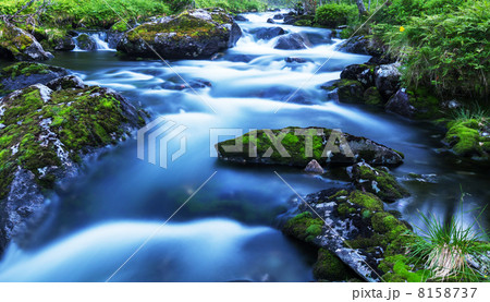 Creek in forest 8158737