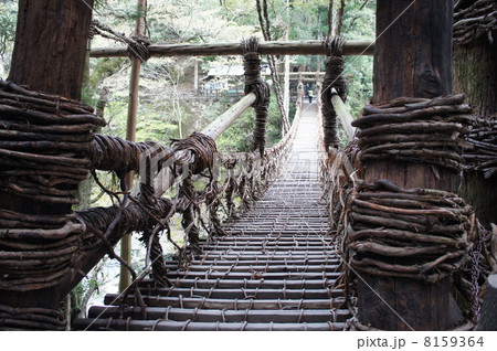 粗谷のかずら橋 8159364