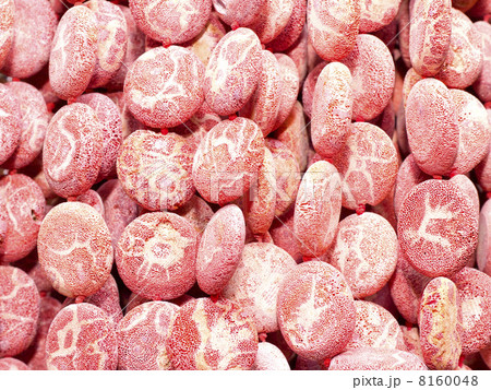 coral beads coral beads 8160048
