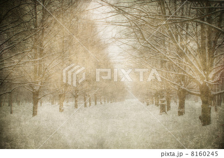 grunge image of winter landscape grunge image of winter landscape 8160245