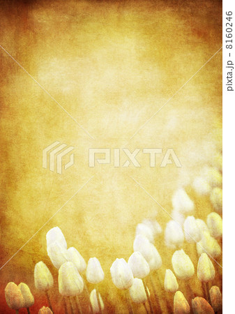 grunge floral background with space for text or image 8160246