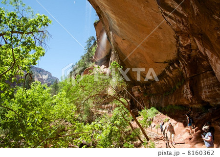 ザイオン国立公園 ザイオン国立公園 8160362