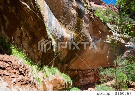 ザイオン国立公園 ザイオン国立公園 8160367