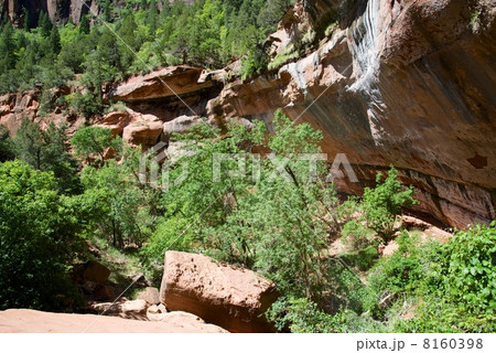 ザイオン国立公園 ザイオン国立公園 8160398