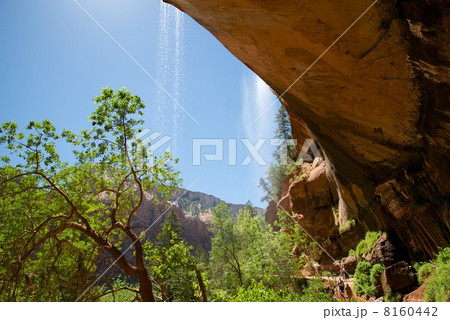 ザイオン国立公園 ザイオン国立公園 8160442