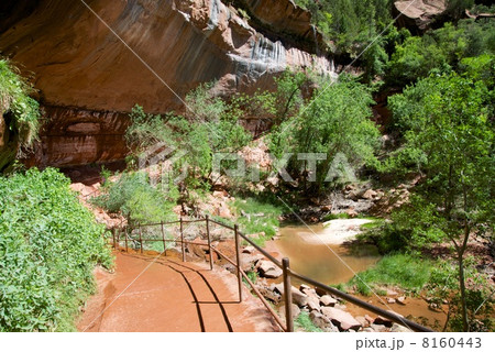 ザイオン国立公園 ザイオン国立公園 8160443