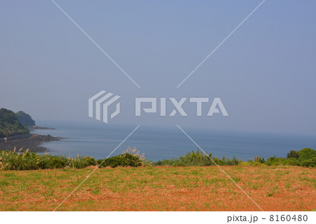 海　長崎県南島原市口之津町甲 8160480